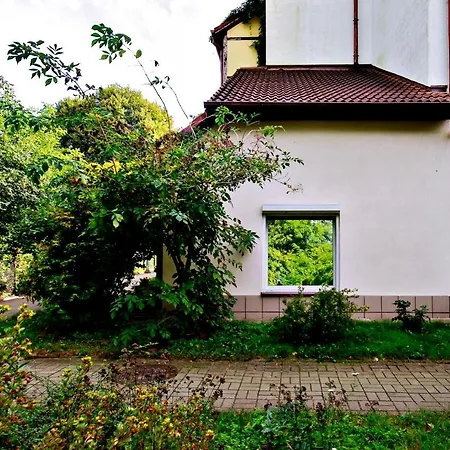 Rent40 Lokietka 47d *
